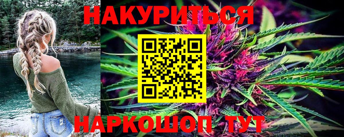 Канабис планчик Губкинский